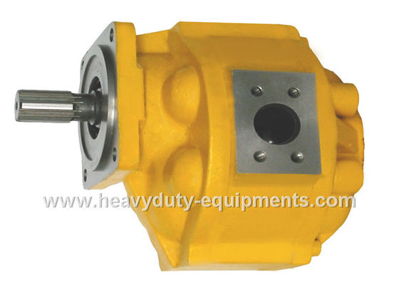 الصين Hydraulic oil pump 1010000019 for Zoomlion crane with warranty المزود